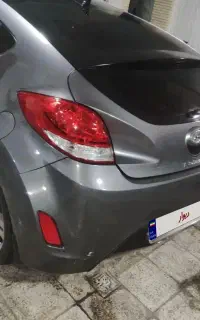 ولستر 2014دلفینی