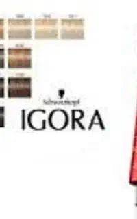 رنگ مو ( ایگورا رویال )