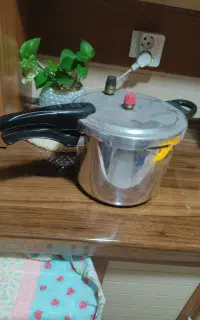 زودپز تک دسته