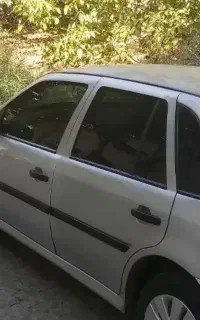 فولوکس گل