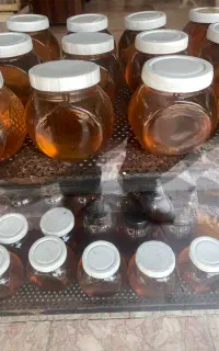 فروش عمده عسل و روغن زیتون ارگانیک ، روغن کنجد
