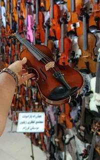 ویولن دست ساز قیمت منصفانه(سفارش ساخت)