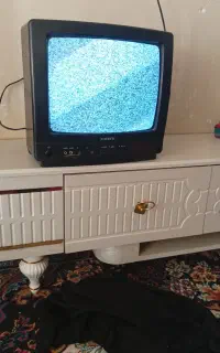 تلویزیون