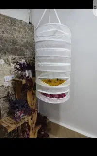 تور میوه خشک کن