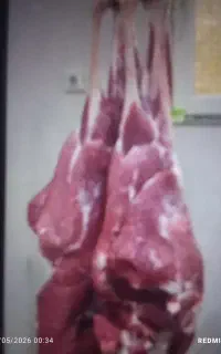 قصاب