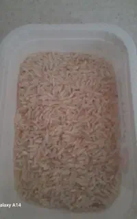 برنج طارم هاشمی امسال درجه ۱