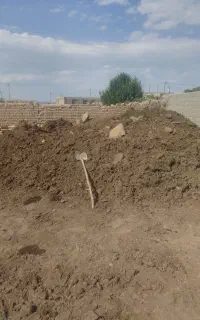 کودگوسفندی