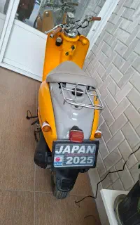 پاکشتی وینو