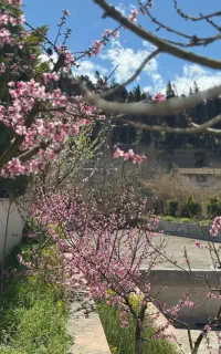 استخدام کارگر شبانه روزی باجای خواب