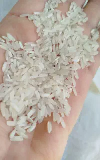 روغن سرخ و مایع و برنج پاکستانی خوشپخت ۲گل رسید