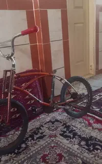 دوچرخه