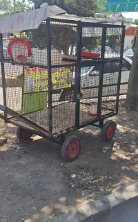 قفس مرغ