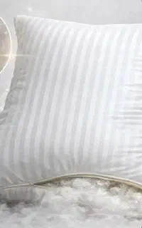 بالشت طبی میکروفایبر اصل (ضد خرو‌پف ودیسک)