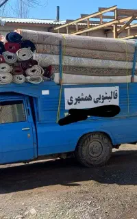 دو نفر کارگر برای قالیشویی