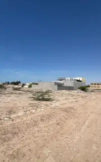 پروانه چاه