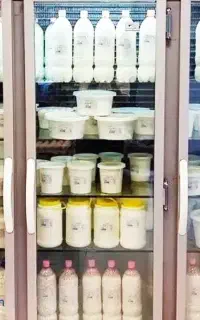 کارگر لبنیاتی