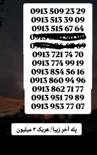 0913.951.79.89