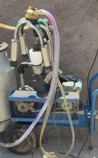 شیردوش دو واحد زرین دوش