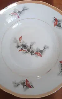 پلو خوری