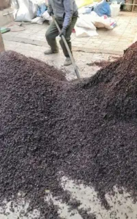 انواع کشمش افتابی