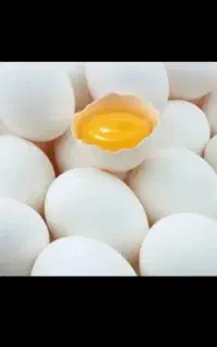 تخم مرغ