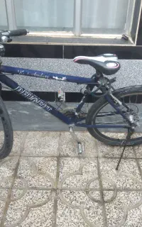 دوچرخه