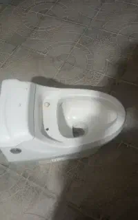 تولدت فرهنگی