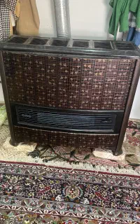 بخاری فروزان