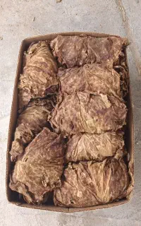 برگ زرد