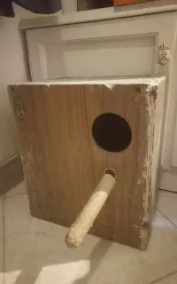 لونه ملنگو گرینچیک پرنده و طوطی و استند چوبی پرنده