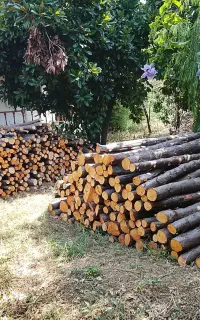 خرید وفروش چوب