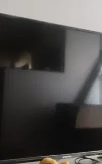 تلویزیون ایکس ویژن ۴۹ اینچ