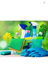نیروی نظافتی خانوم