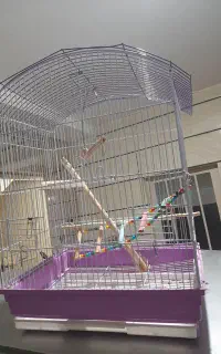 قفس