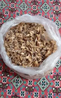 سهلاب پنجیی وسیب زمینی
