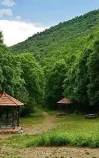تور یک روزه جنگلهای ارسباران