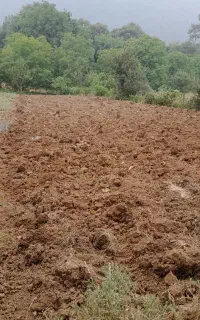 فروش زمین کشاورزی واقع در روستای افراتخته