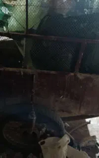 بودی سچرخه