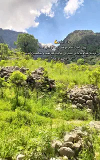 نگهبان نهالستان
