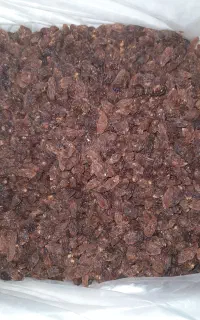 کشمش گله در حد 5کیلو