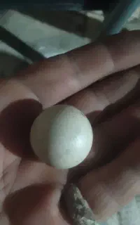 فروش سنگ‌الماس اسیاب