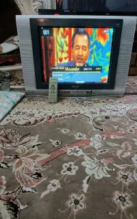 تلوزیون