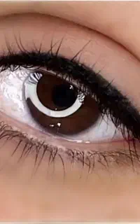 آرایش دائم