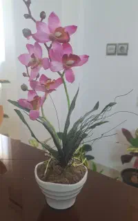 گل دکوری