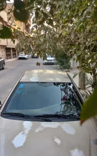 سمند ۸۳ بی رنگ