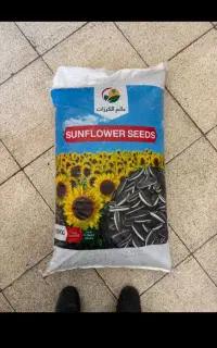 تخمه