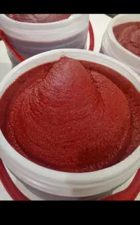 رب گوجه