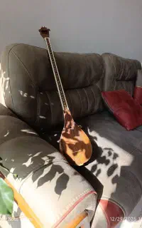 سه تار حرفه ای