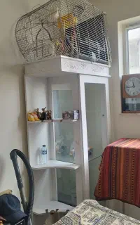 بوفه