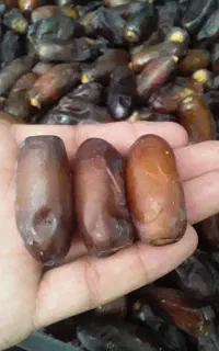 نیم رس